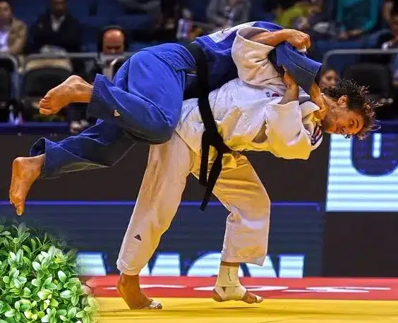 Colores del kimono de judo