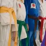 Orden de los colores de los cinturones de judo