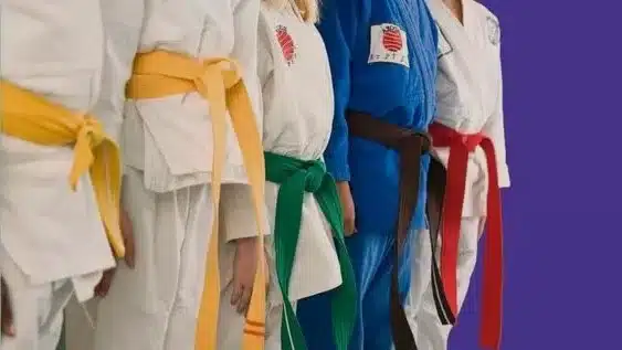 Orden de los colores de los cinturones de judo