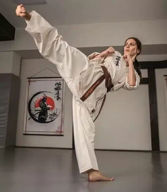Partes del karategi